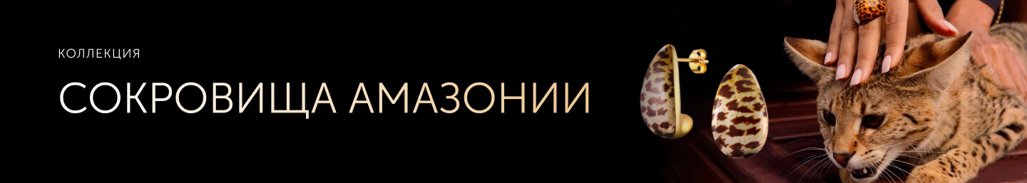 Amazzoni